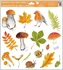 Decorative Window Cling – Mushrooms