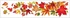 Decorative Window Cling – Maple Leaves in rich shades of red and orange