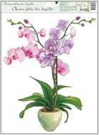 Self-Adhering Window Decoration 30x20 cm, Orchids