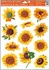 Self-Adhering Window Decoration 30x20 cm, Sunflowers