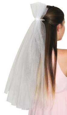 Party Veil on Clip