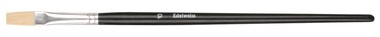 Flat Brush for School Purposes size 10