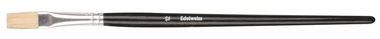 Flat Brush for School Purposes size 12