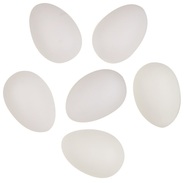 Plain white Plastic Eggs 8 cm, 6 pcs in Polybag