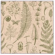 Paper Napkins 3-ply, 33 x 33 cm, 20 pcs