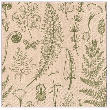 Paper Napkins 3-ply, 33 x 33 cm, 20 pcs