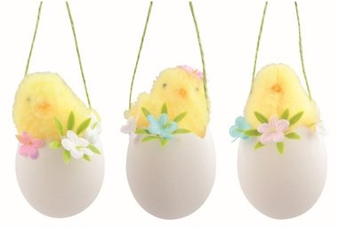 Chicken yellow in a Shell with Deco 6 x 11 x 6 cm for hanging