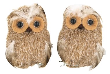 Owl 7 cm, on Clip