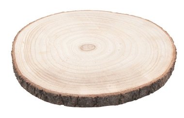 Wooden Slice o 24 x 2 cm