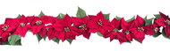 Garland of Poinsettia 180 x 10 x10 cm