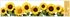 Decorative Window Cling – SunFlower